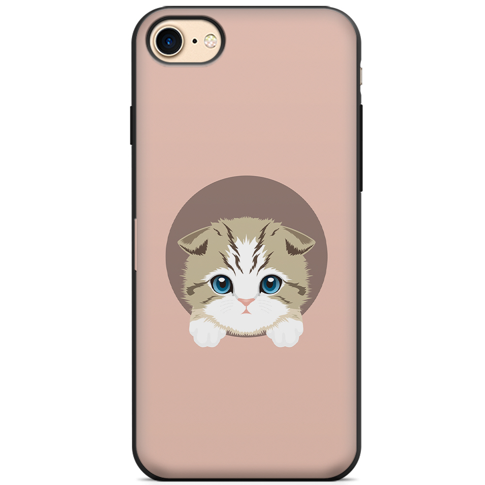 스코티시 폴드 (Scottish Fold Cat)