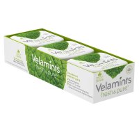 Velamints 벨라민츠 껌 프레쉬 스피어민트 20g 6개