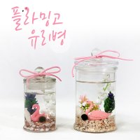 수경식물 마리모 플라밍고 유리병 DIY 인테리어 꾸미기  플라밍고마리모(대형)