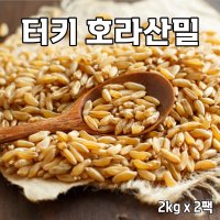 호라산밀 터키 호라산 쌀 고대 곡물 효능 추천 2kg 4kg 6kg  2팩