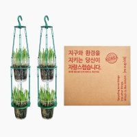 몬도미오 리컵키트 업사이클링 2인 체험학습패키지 (체험키트 DIY 귀리씨앗심기)  옐로우