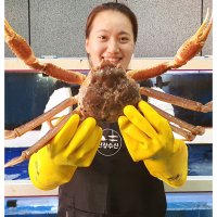 진강수산 러시아 자숙 박달 대게 800g 1kg 1.2kg 수율보장 수입 마가단 대게  수입 박달대게 1kg-1.2kg 1미  1미