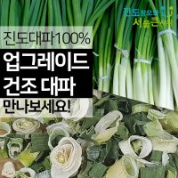 진도장모와서울큰사위 건조대파 말린대파 요리 라면에 간편 말린파 100% 국산  1개  200g