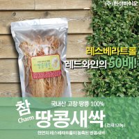 국내산 땅콩새싹 건채 100g 라스베라트롤 함유  2개