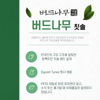 치과전용 버드나무 칫솔 일반모 고급형  12개