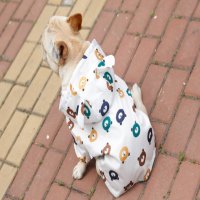 강아지 댕댕이 산책 우비 곰돌이 애견 레인코트 비옷 바람막이 레인코트 부츠