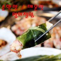 국내산 울릉도 명이나물절임 명이김치 궁채장아찌1인가구 궁채장아찌 150g