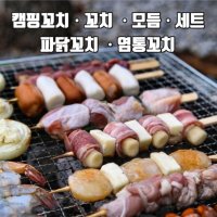 캠핑꼬치 닭꼬치 염통꼬치 꼬치 닭목살꼬치 은행꼬치 매운고추소스70g