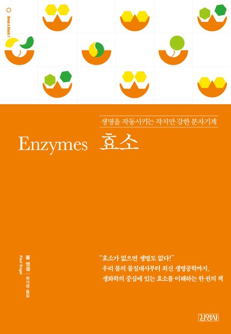 효소 (생명을 작동시키는 작지만 강한 분자기계)