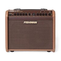 Fishman Loudbox Mini Charge 피쉬맨 어쿠스틱 내장 충전 배터리 앰프 블루투스 단일 옵션