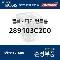 벨브-퍼지 컨트롤 (289103C200) 현대모비스 부품몰 쏘나타YF 그랜저HG 그랜저IG 벨로스터 벨로스터N