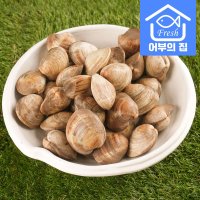 제철 해감 백생합 생합 백합 조개 백상합 1kg  1.백상합 소 1kg  1개