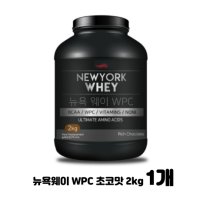 니트로랩 뉴욕웨이 WPC 초코맛 2kg 1개