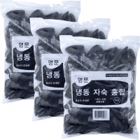 힘찬푸드 냉동 국내산 자숙홍합 피홍합  3팩  1kg