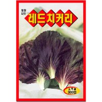 영농사 레드 치커리씨앗 900립 쌈채소씨앗