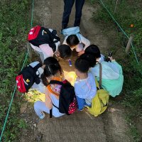 [서울/성동] 서울숲 힐링 숲체험 / 깨비의숲마을과 함께 떠나요!