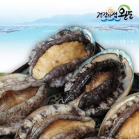 [생일도 참전복]완도직송 총각이 키운 활전복 1kg(8-9미)