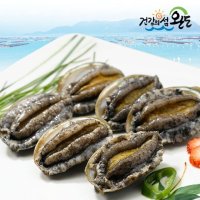 [생일도 참전복]완도직송 총각이 키운 활전복 1kg(16-18미)