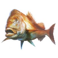 푸른바다피싱 홀로그램 낚시 스티커 방수 대형 참돔 오징어