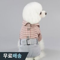 더우지 강아지 일상복 반려견옷 체크남방 S 민트