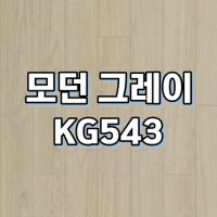 강마루 동화자연마루 나투스강 1박스 모던 KG543