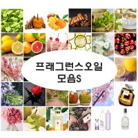 프래그런스 오일 S 디퓨저 캔들 석고방향제 향오일 모음 20ml  103 입X랑