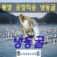 [굴철철] 싱싱 당일출하  1개  냉동굴5kg