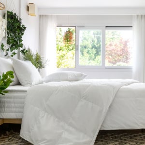 나무가주는침구 호텔침구 거위털 구스다운 이불솜 플러스 / 여름용[털빠짐 없는 특급 솜털]