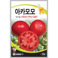 토마토씨앗 토마토종자 30립