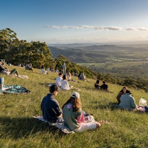 [가이드포함] 럭셔리 와이너리 일일 투어 (골드코스트 또는 브리즈번 출발 / 런치 포함)