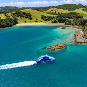 크림 트립 슈퍼 크루즈 & 오테헤이 베이 투어 (베이 오브 아일랜드 출발)