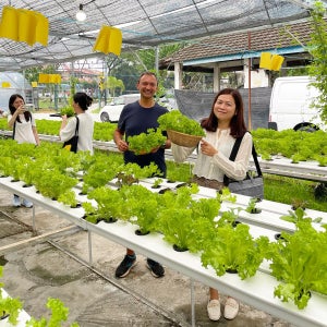 [QR코드 입장] 우타마 농장 티켓&새우 낚시&야구 배팅장 체험