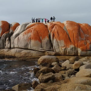 6박 7일 태즈매니아 가이드 투어 (호바트 출발)