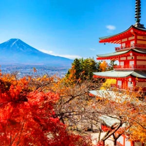 [한국어가능] 후지산, 오시노 핫카이 & 고텐바 아울렛/온천 일일 투어 (도쿄 출발)