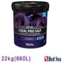 Red Sea 레드씨 코랄프로 해수염 22kg/ 산호용 해염