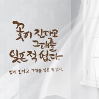 디자인엠 꽃이진다고 캘리그라피스티커 포인트그래픽스티커 벽지 인테리어 글자 명언 글귀 한글 데코 레터링 손글씨 문구 소형 초코브라운