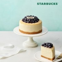 스타벅스 starbucks 스타벅스 블루베리 치즈 케이크