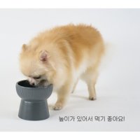 에라토 나의 슈슈 강아지 고양이 도자기 식기 물그릇 밥그릇