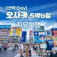 부산 오사카 왕복 배편 팬스타 5박6일 일정 왕복탑승권 자유여행 승선권