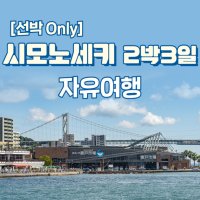 부산 일본 시모노세키 왕복 배편 부관훼리 2박3일 일정 왕복탑승권 자유여행 승선권 성희호 하마유