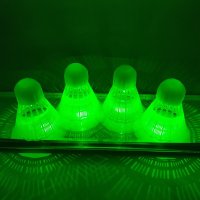 타토 스피드 배드민턴 LED 셔틀콕 6pcs 크로스민턴 스피드민턴 야간 레저 취미 다이어트 스포츠 운동