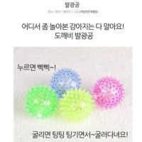 소리 삑삑 강아지장난감 빛나는 발광공 3개 애견 반려견공 공놀이 댕댕이