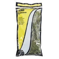 Woodland Scenics L163 디오라마 이끼 관록 나뭇잎 모형 Medium Green 150g