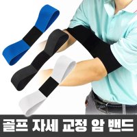 바이온 골프 치킨윙방지 암밴드 팔교정 골프연습 암밴드