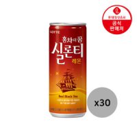 롯데칠성 홍차의 꿈 실론티 240ml 30캔