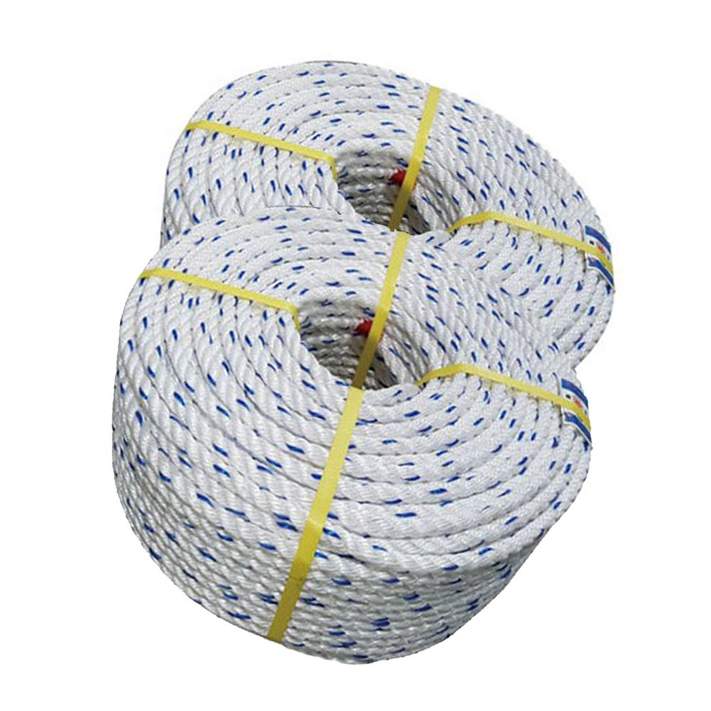 국산 참송이버섯 특품 500g