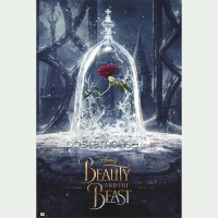 MAXI Poster 포스터 61x91 - 미녀와 야수 Beauty The Beast Rose Advanced 액자형판넬
