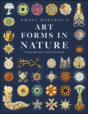 Ernst haeckel＇s art forms in nature 