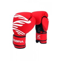 지브라 복싱 글러브 - ZEBRA FITNESS Training Gloves 권투 킥복싱 무에타이 MMA 종합격투기 14OZ ZFTG01