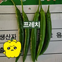 프레치 국내산 롱그린 고추  10kg  특